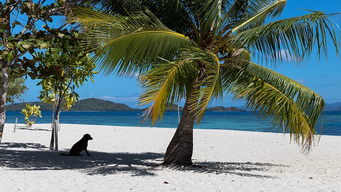 Trip Pass Island 4