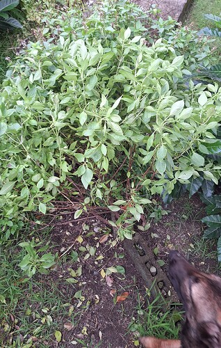 17302775221104950216149126965539~2