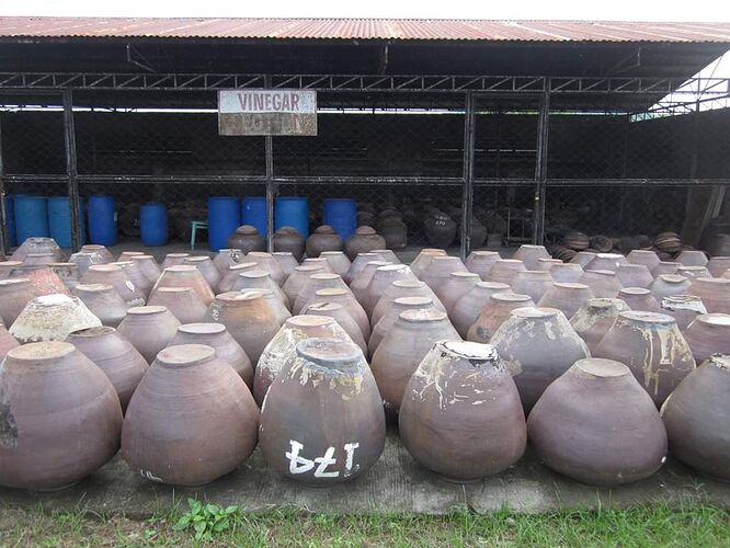 16-philippinen-forum-taegliche-geschichte-basi-wine-01