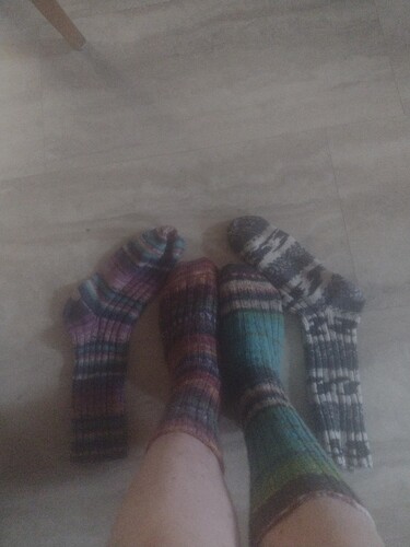 IMG_20241031_094035156