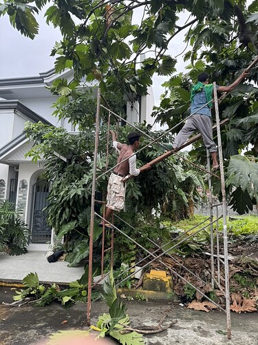 E6F465B3-E51A-44CE-86F3-7500B429C240_1_105_c