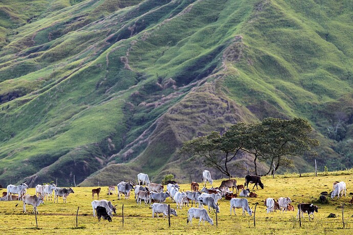 12_04_17Bukidnon00142-Bearbeitet