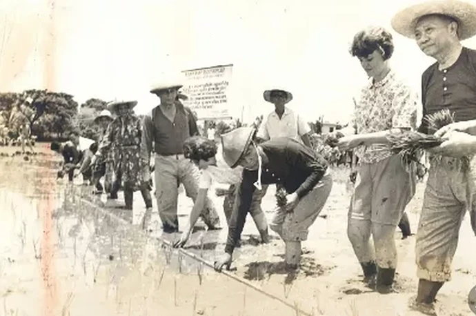 17-philippinen-forum-taegliche-geschichte-reiskonzil