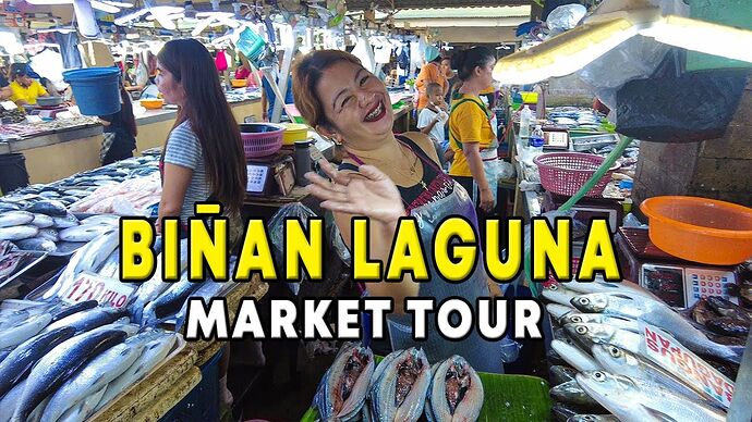 24-philippinen-forum-staedte-binan-city-laguna-03