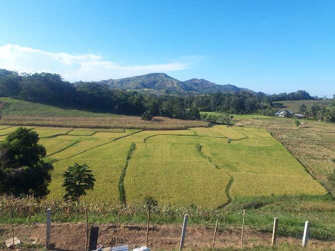 96885a27-5545-4a7c-bb19-ee9bc9b14aca