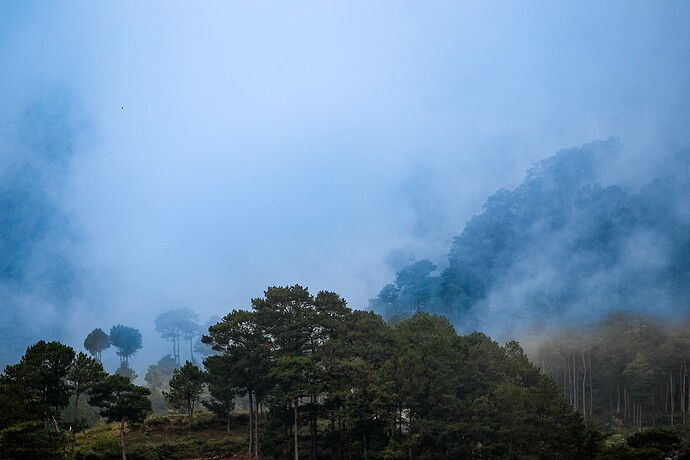 12_04_04Sgada00021-Bearbeitet