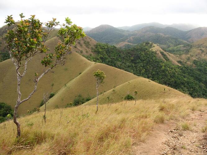 Mount Tundalara (8)