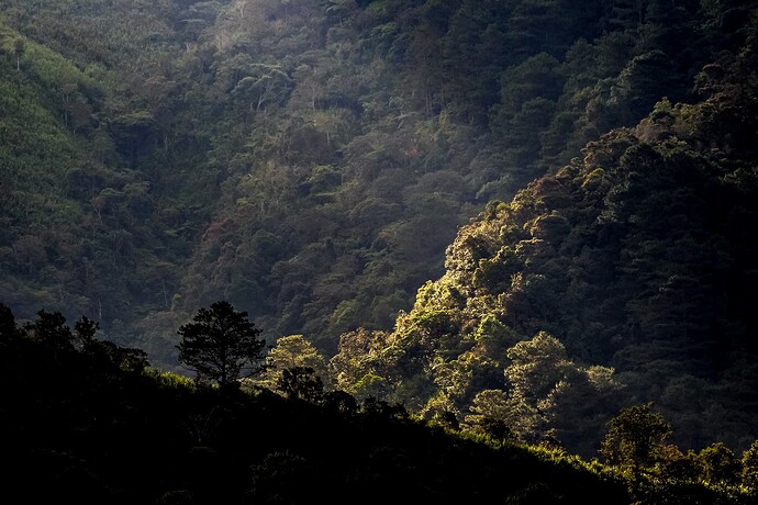 12_04_06Banaue00239-Bearbeitet