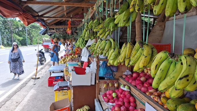 15-philippinen-forum-maerkte-bacong-obstmarkt-02
