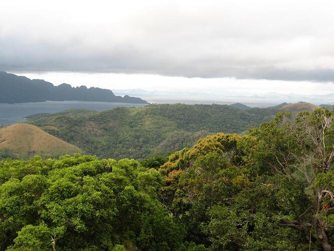 Mount Tundalara (3)