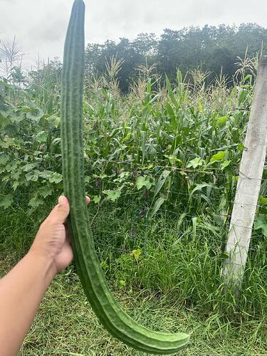 6319d1ab-7476-4cf6-ba9d-5643984a5d2f