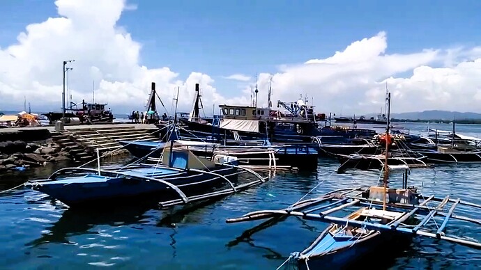 08-philippinen-forum-maerkte-opol-fischereihafen-und-fischmarkt-12