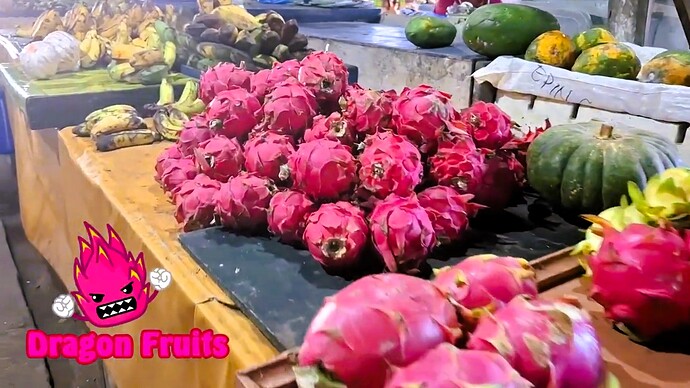 25-philippinwn-doeum-maerkte-tabo-sa-pao-dumaguete-09