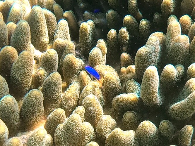 sn2