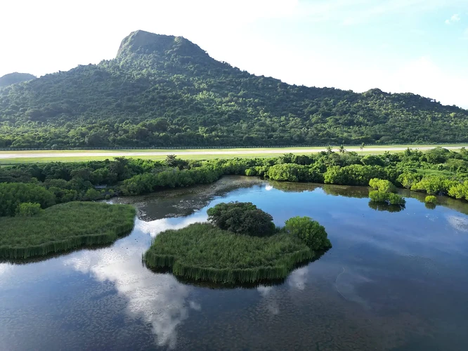 Sicogon-Nature-trail.jpeg