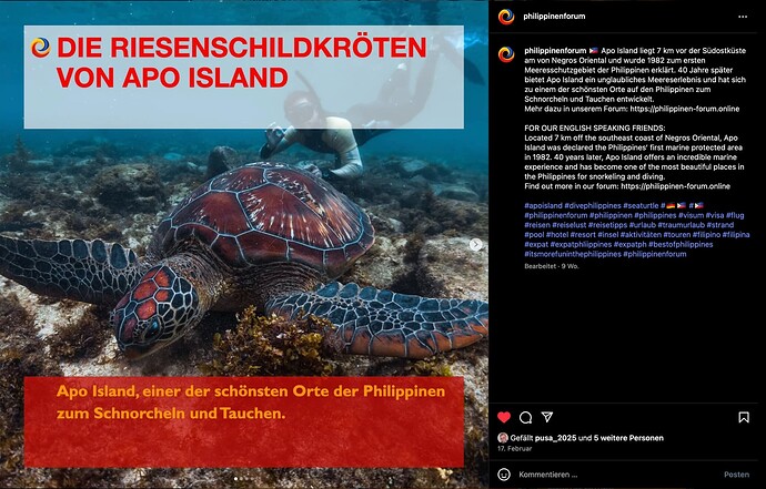 Philippinenfourm Instagram Riesenschildkröten Apo Island