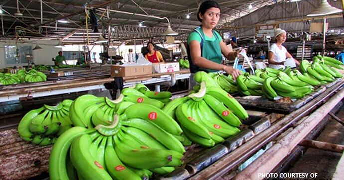 15-philippinen-forum-provinzen-davao-del-sur-03