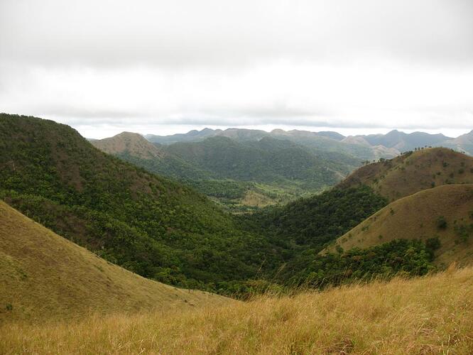Mount Tundalara (5)