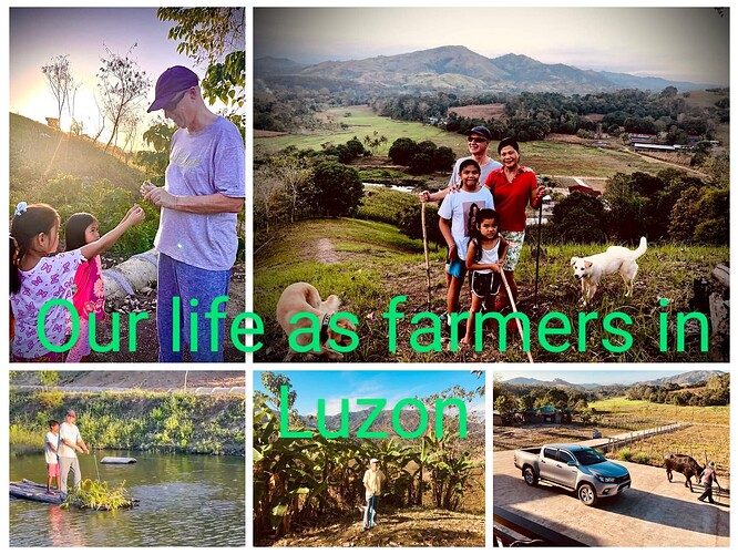 07fe1882-e6d4-446a-b6de-a765e6570195