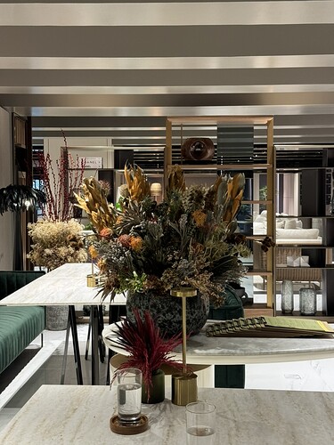 EB5E51E7-33F8-4526-BBA9-3B36D84B06D7_1_105_c