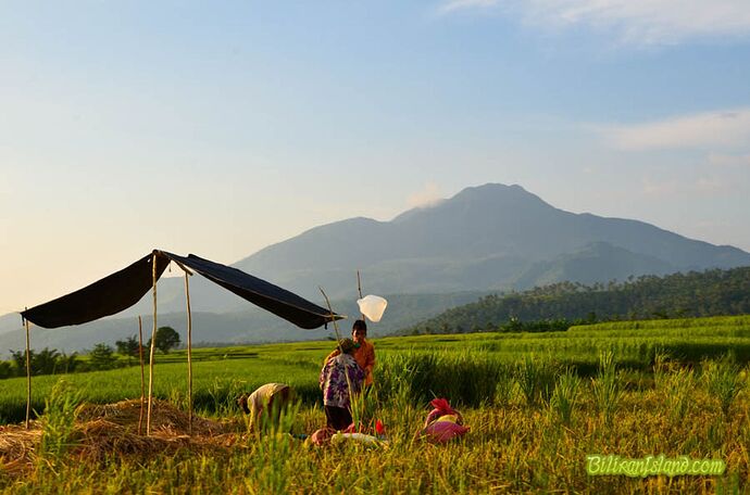 13-philippinen-forum-vulkane-mount-biliran-02