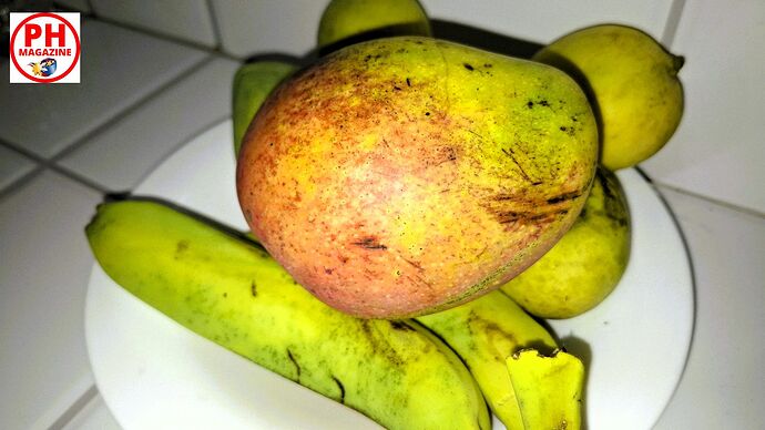 14-philippinen-forum-fruechte-indian-pajo-mangoes-01