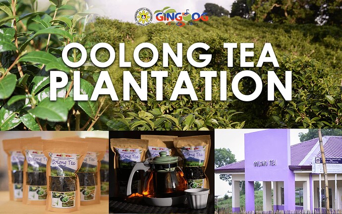 08-philippinen-forum-staedte-gingoog-city-mindanao-05