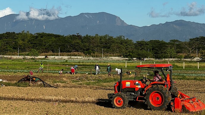 Die Farmer machen Krach...