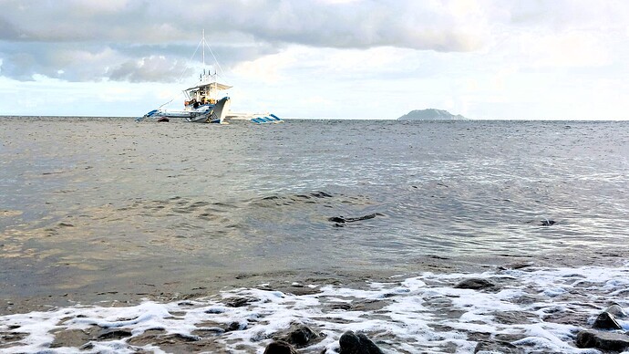 19-06-2025-philippinen-forum-wassersport-tauchen-dauin-02