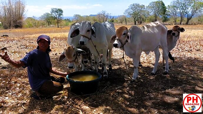 30-07-2025-philippinen-forum-wetter-aktuell-02