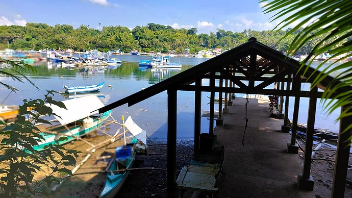 24-philippinen-forum-unterwegs-negros-tambobobay-01