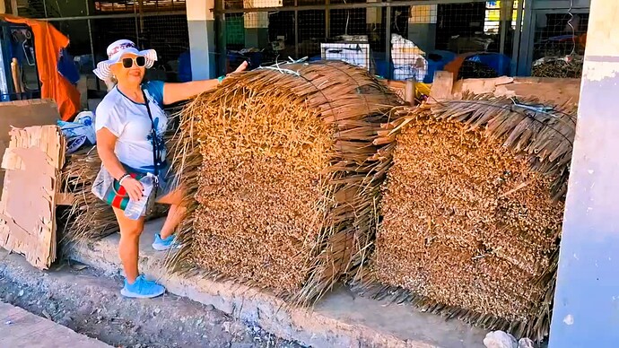 12-philippinen-forum-video-unterwegs-mindanao-tobacco-04