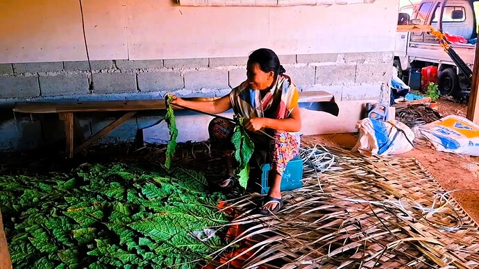 12-philippinen-forum-video-unterwegs-mindanao-tobacco-02