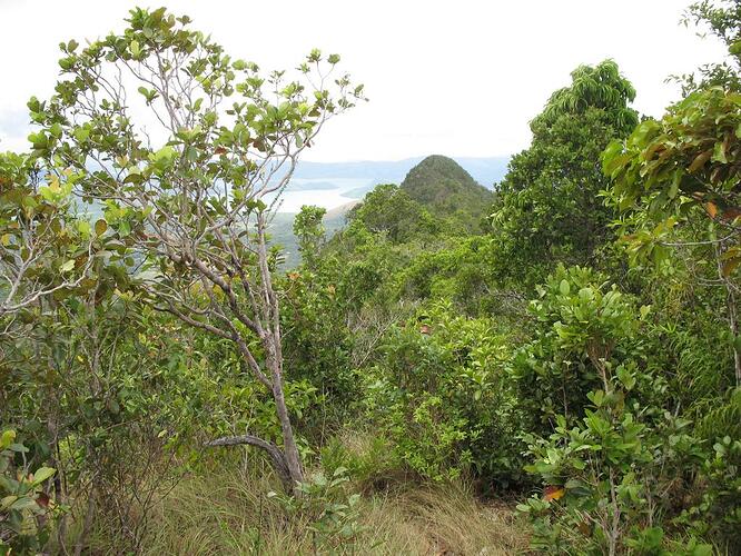 Mount Tundalara (15)