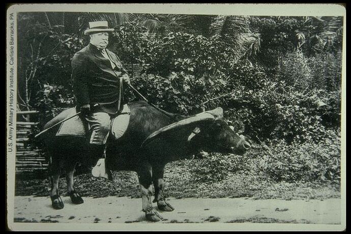 15-philippinen-forum-taegliche-geschichte-william-howard-taft-02