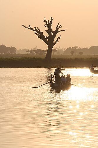 img_0528