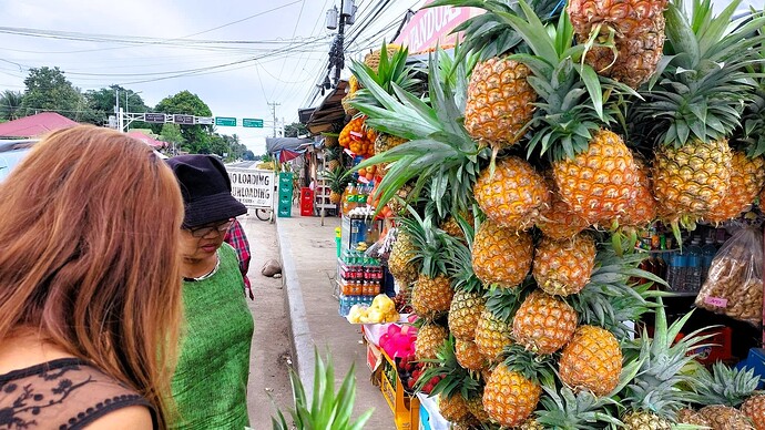 21-philippinen-forum-fruechte-ananas-01