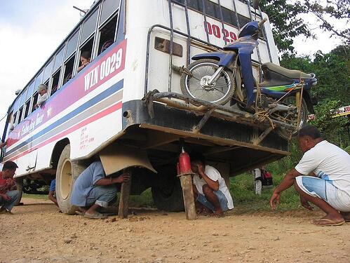 Bus