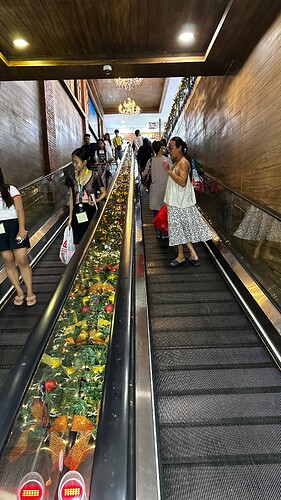 und auch die Rolltreppe...