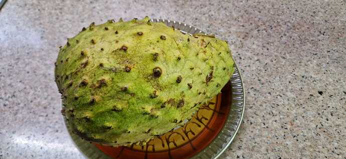 250320-Makato-Garden-Gujabano_001