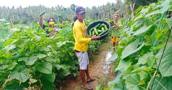 20-philippinen-forum-staedte-malaybalay-city-bukidnon-mindanao-04