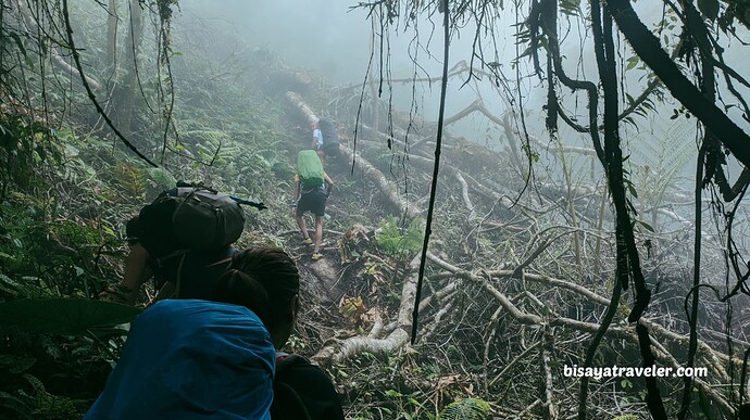 21-philippinen-forum-vulkane-mount-talinis-04
