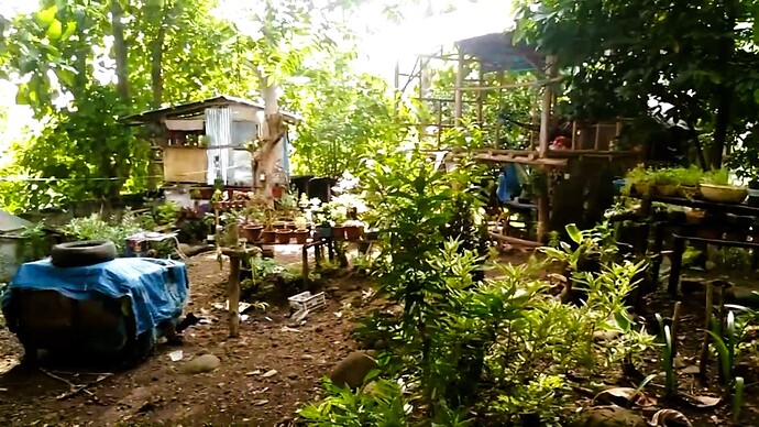 17-philippinen-forum-bei-uns-zuhause-in-cdo-40