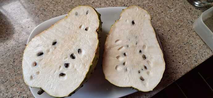 250319-Makato-Garden-Gujabano_002