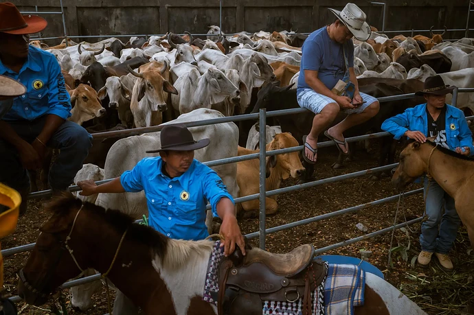 Rodeo Masbate City05