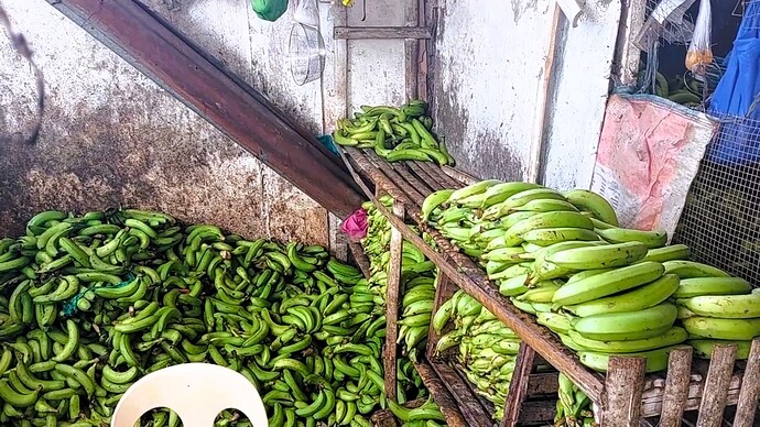 04-philippine-magazine-video-maerkte-kurioses-vom-carmen-markt-cdo-31
