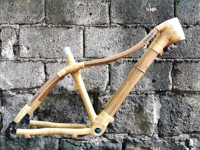 Bambike05
