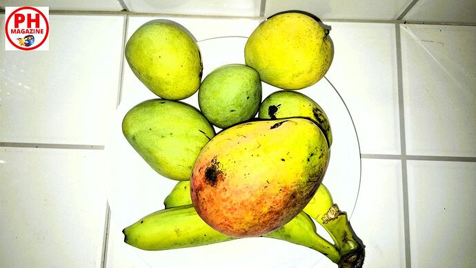 14-philippinen-forum-fruechte-indian-pajo-mangoes-00