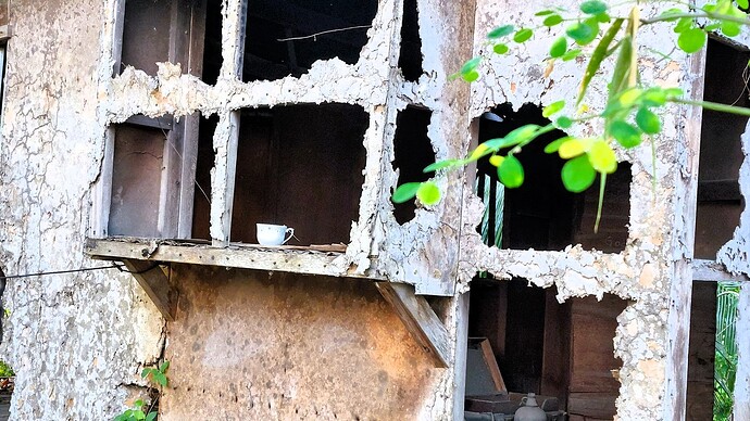 27-philippinen-forum-schnappschuss-einsame-kaffeetasse-in-ruine