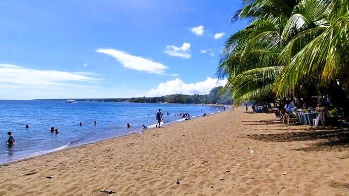 13-philippine-magazine-unterwegs-in-negros-dauin-beach-06